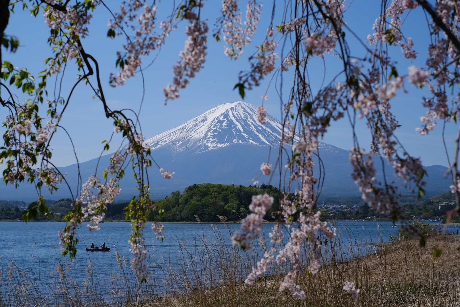 paquetes monte fuji japon
